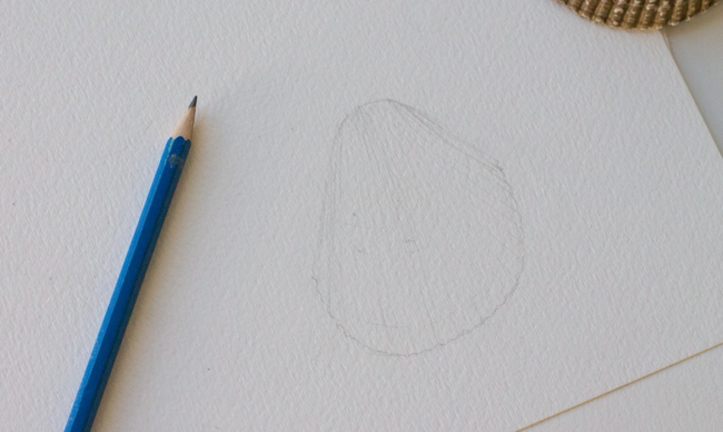 sketching second seashell