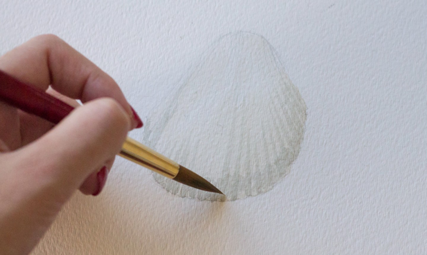 How to Paint Seashells in Watercolor: 3 Painting Tutorials