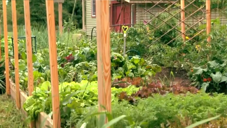 Vegetable Gardening: Smart Techniques for Plentiful Resultsproduct featured image thumbnail.