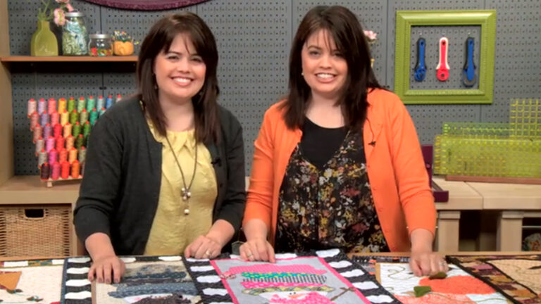 Playful Textures for Easy Appliqué Quiltsproduct featured image thumbnail.