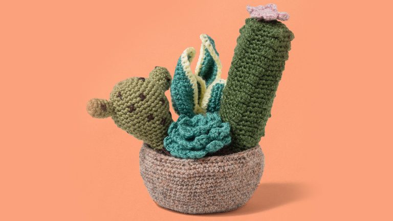 Crochet the Desert Fiber Gardenproduct featured image thumbnail.