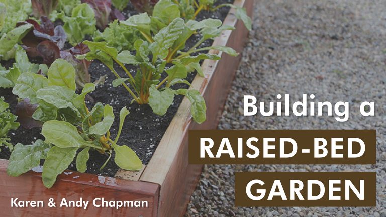 Building a Raised-Bed Garden
