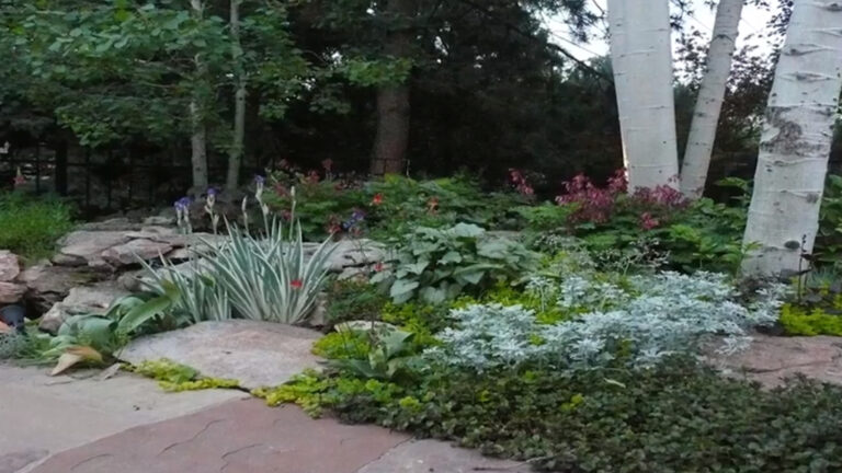 Transform Your Garden Design