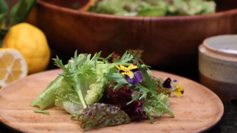 Grow Better Greens: From Seed to Saladproduct featured image thumbnail.