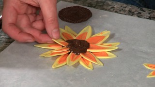 Combining Methods: Sunflower & Butterflies