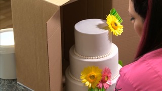 Cake Storage & Delivery