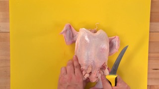 Essential Cuts: Poultry