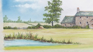 Landscape: Meadow & Pond