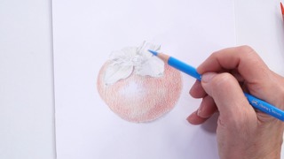 Getting Started with Colored Pencil