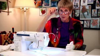 Complex Free-Motion Quilting