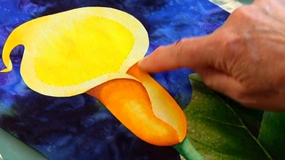 Painting the Lily