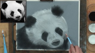 The Panda: Fur