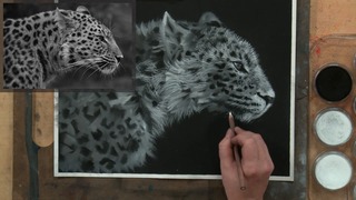 The Leopard: Fur & Final Details