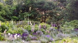What Is a Layered Garden?