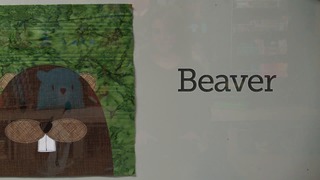 Basic Faces: Bear, Beaver & Deer