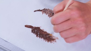 Chocolate Brushstrokes & Feathers