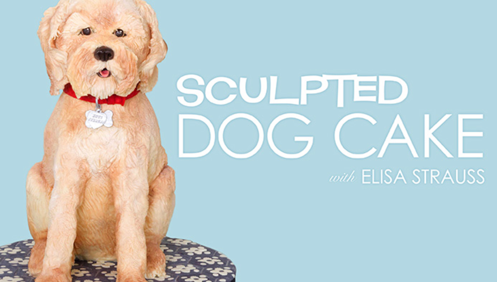 Sculpted Dog Cake Craftsy