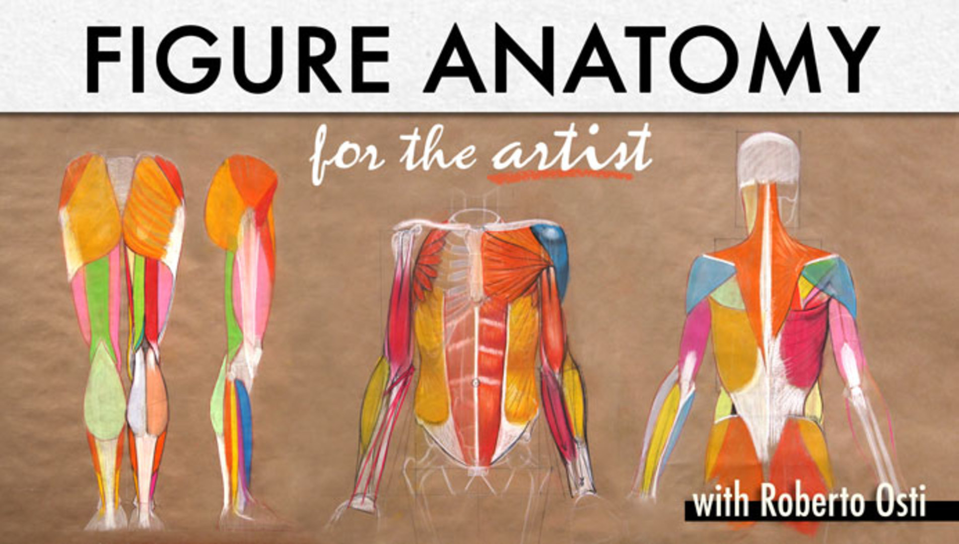 Figure Anatomy for the Artist | Craftsy
