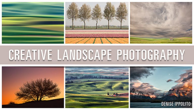 Collage of landscape photographs