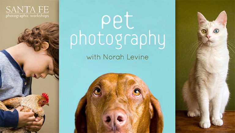 Pet Photography Ad