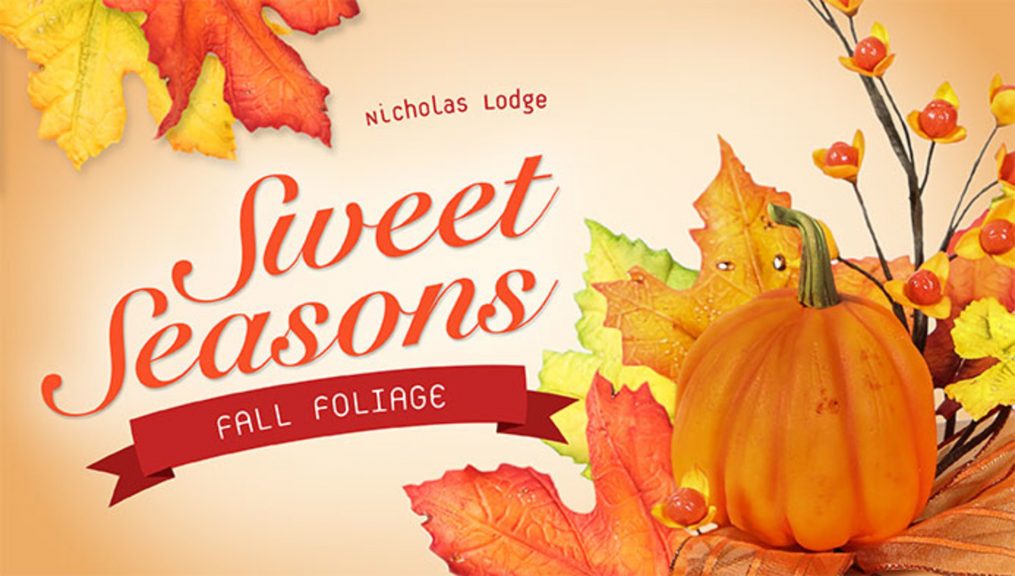 Fall backdrop