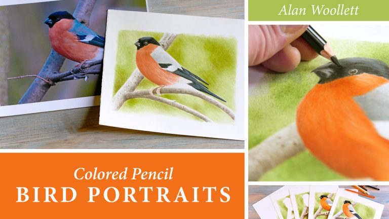 Realistic colored pencil portraits of birds