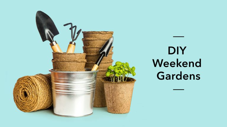 DIY Weekend Gardens