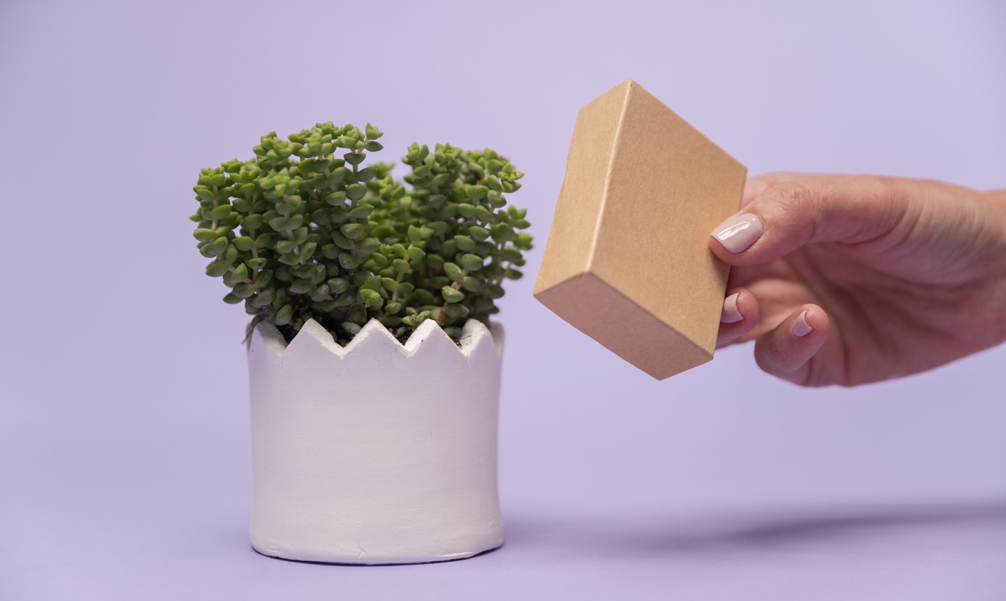 Creating an effect on the clay with a box