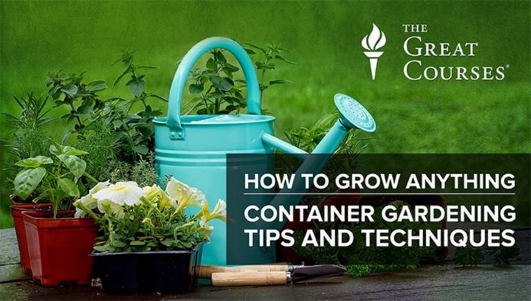 How to Grow Anything: Container Gardening Tips & Techniques