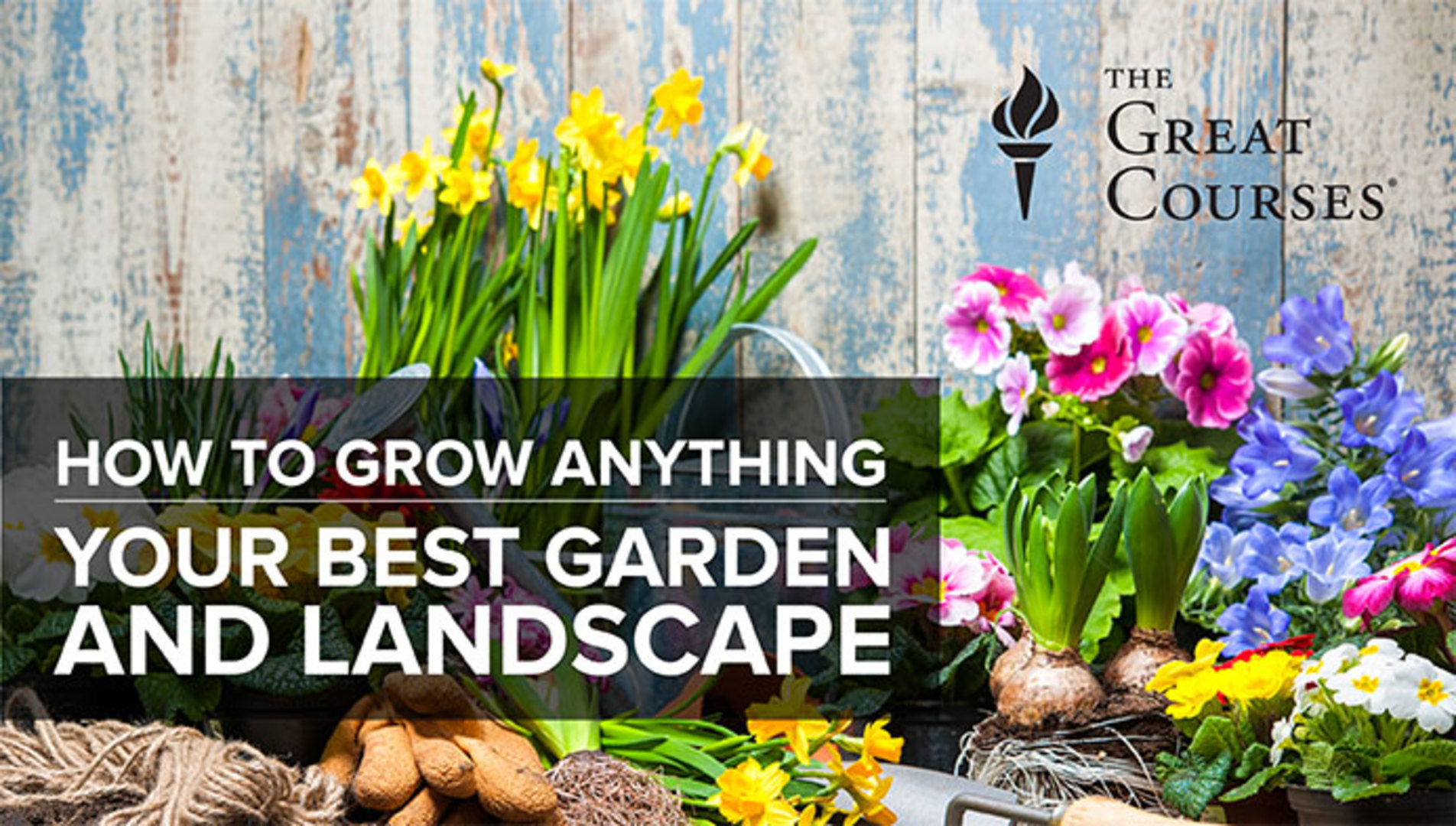 How to Grow Anything: Your Best Garden & Landscape | Craftsy