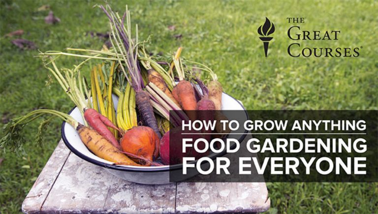 How to Grow Anything: Food Gardening for Everyone