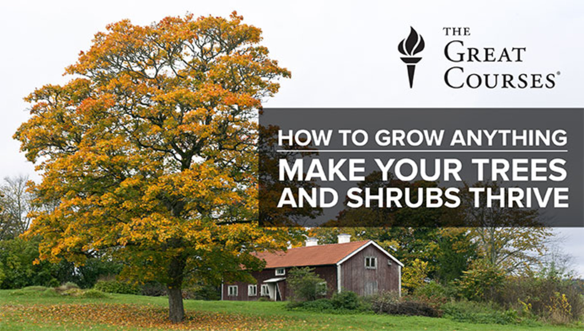 How To Grow Anything Make Your Trees & Shrubs Thrive Craftsy