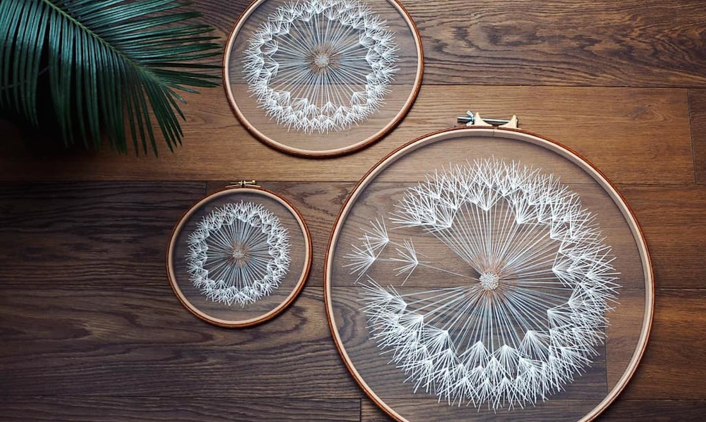 sheer embroidered dandilions