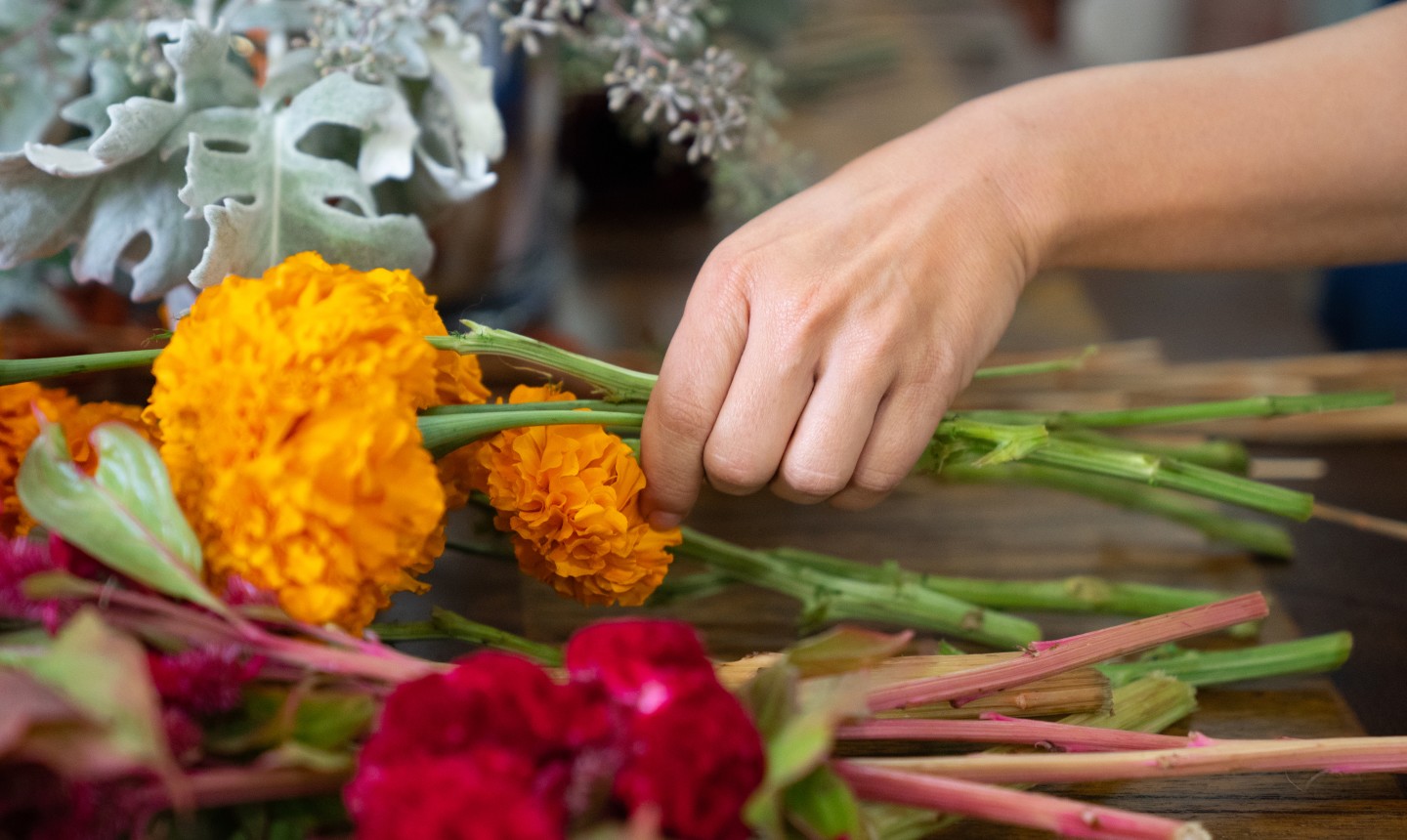 picking fall flowers