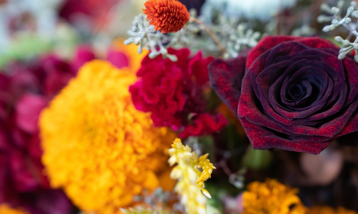 detail shot of fall flowers