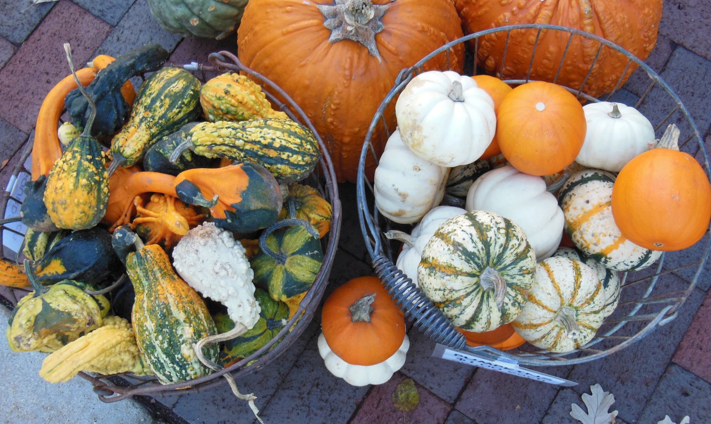 buckets of gourds