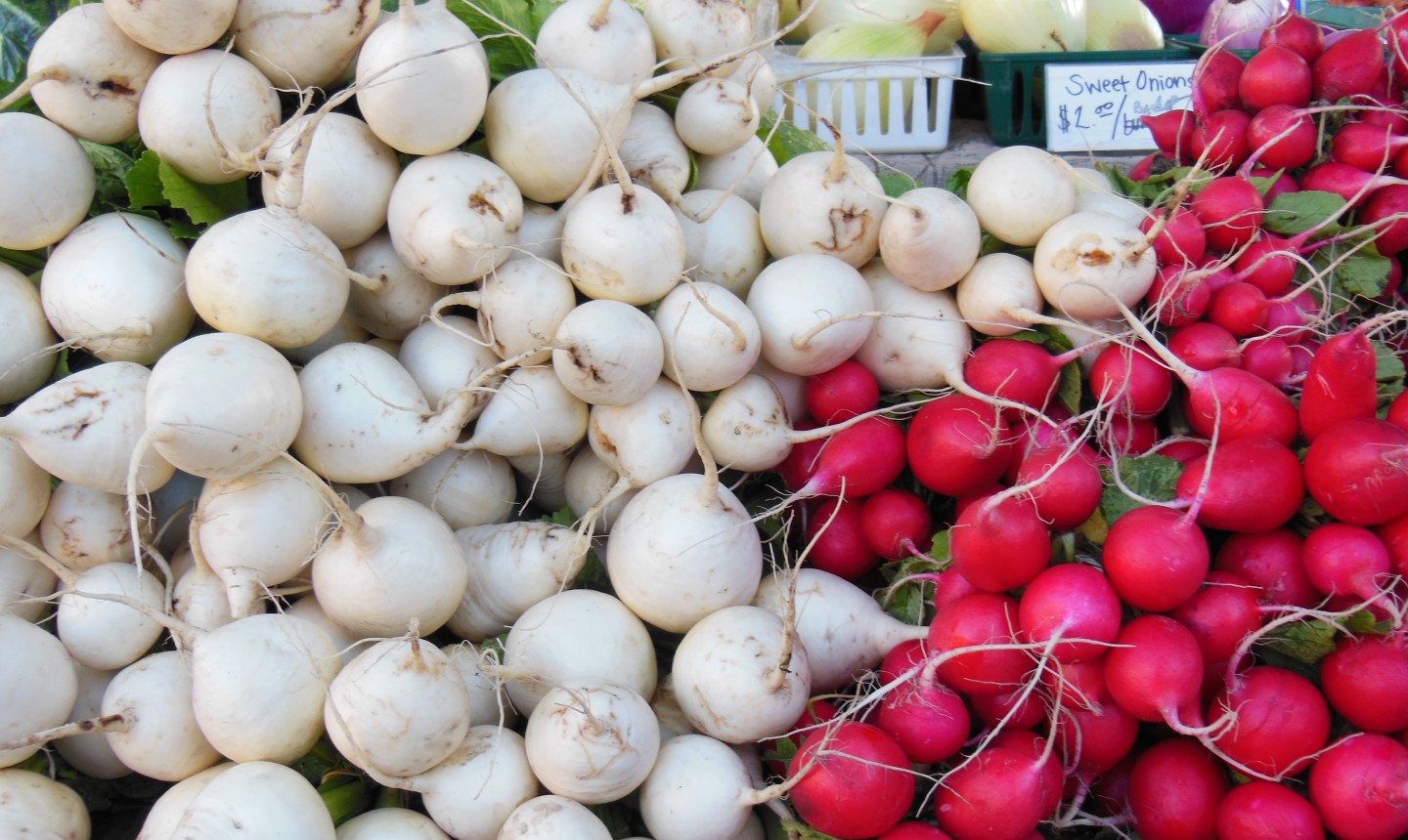 pile of radishes