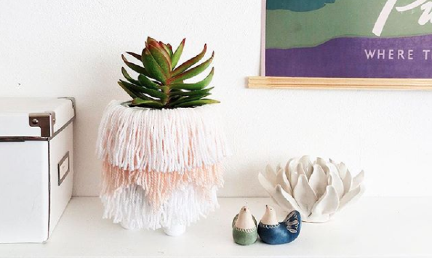 fringe succulent planter