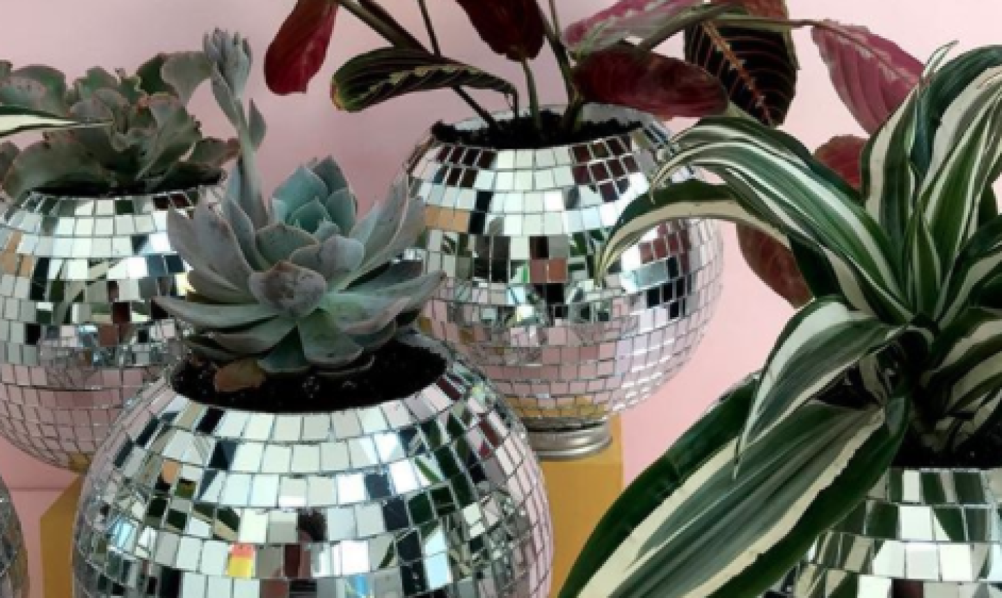 disco ball succulent planters