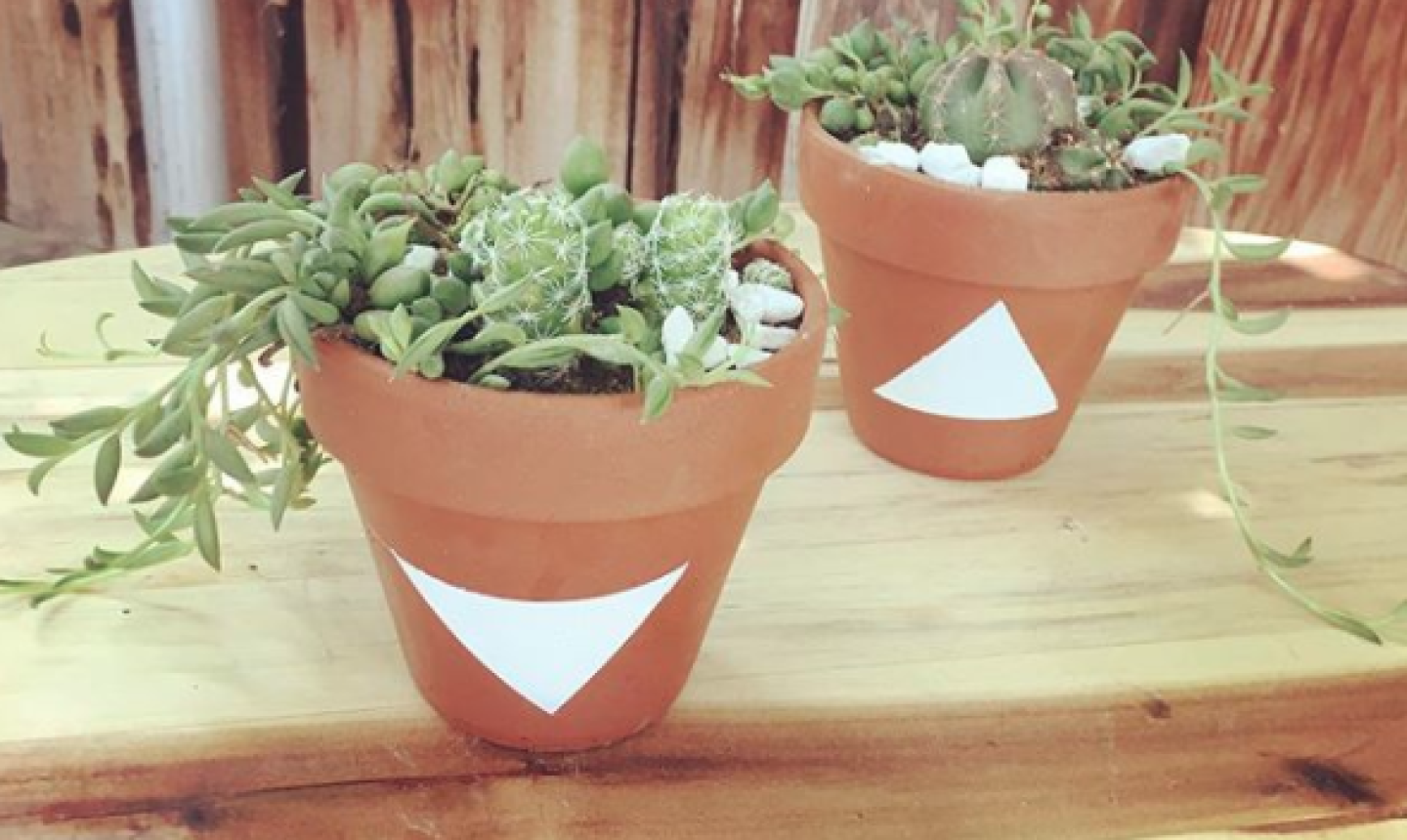 planters with painted triangles
