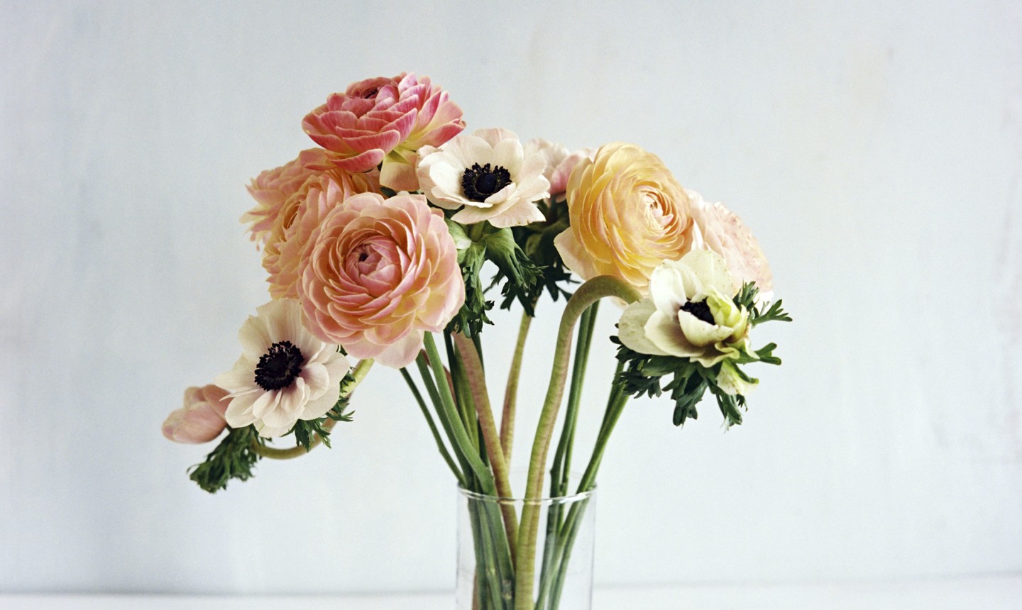 flowers in a vase