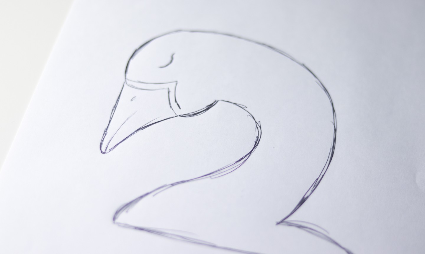 swan head drawing