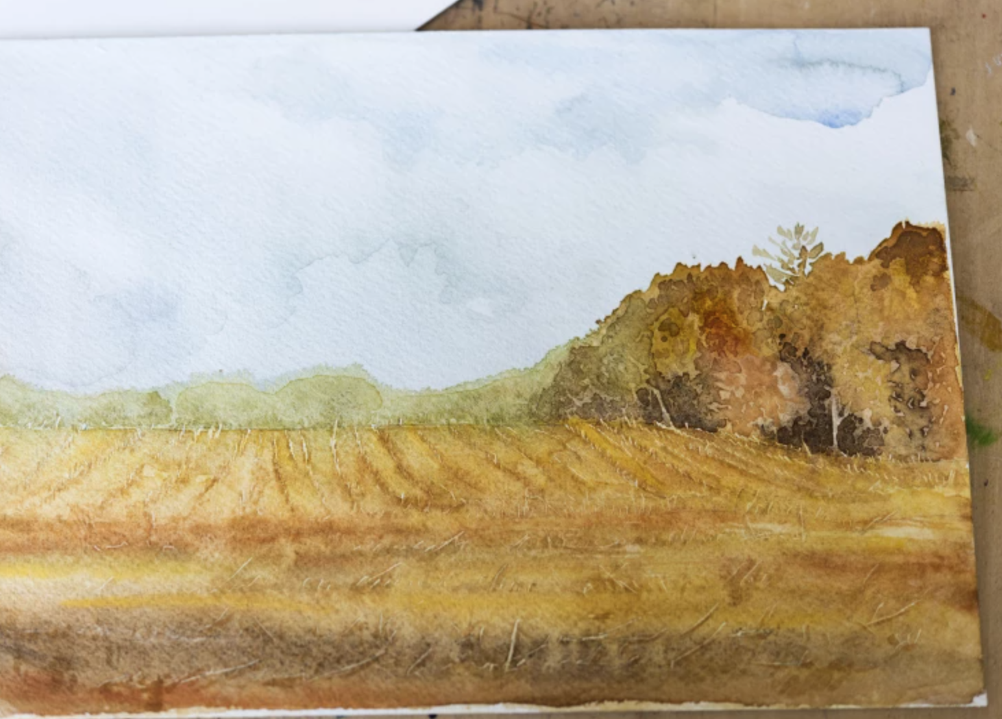 autumn cornfield