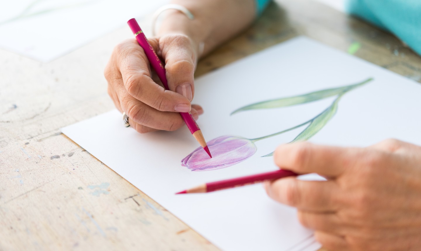 Try Colored Pencils With Beginner Projects Craftsy