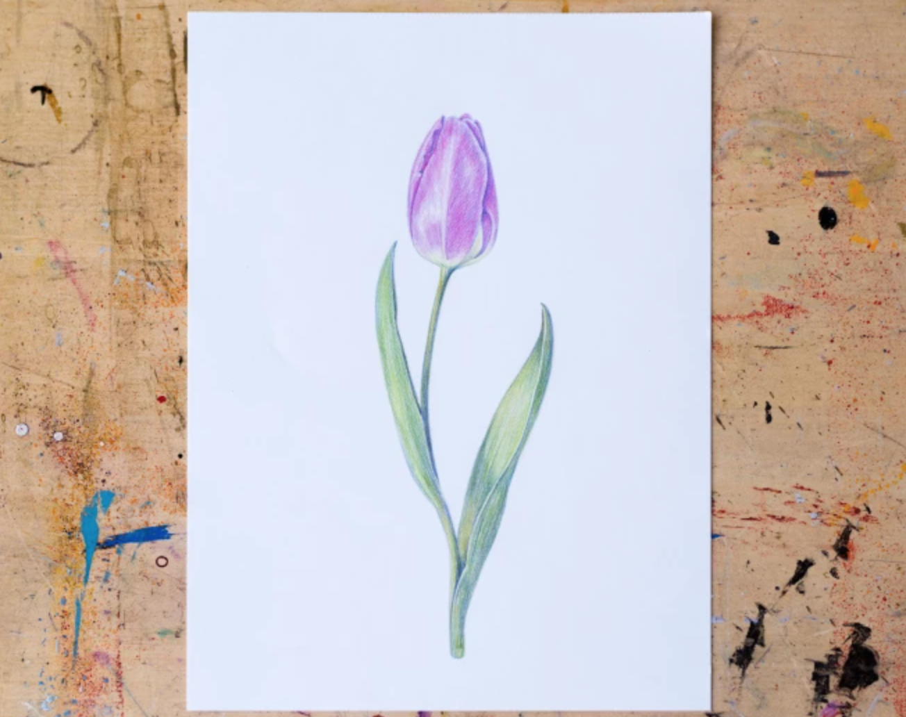 https://d2culxnxbccemt.cloudfront.net/craft/content/uploads/2020/11/02154341/colored-pencil-tulip.png