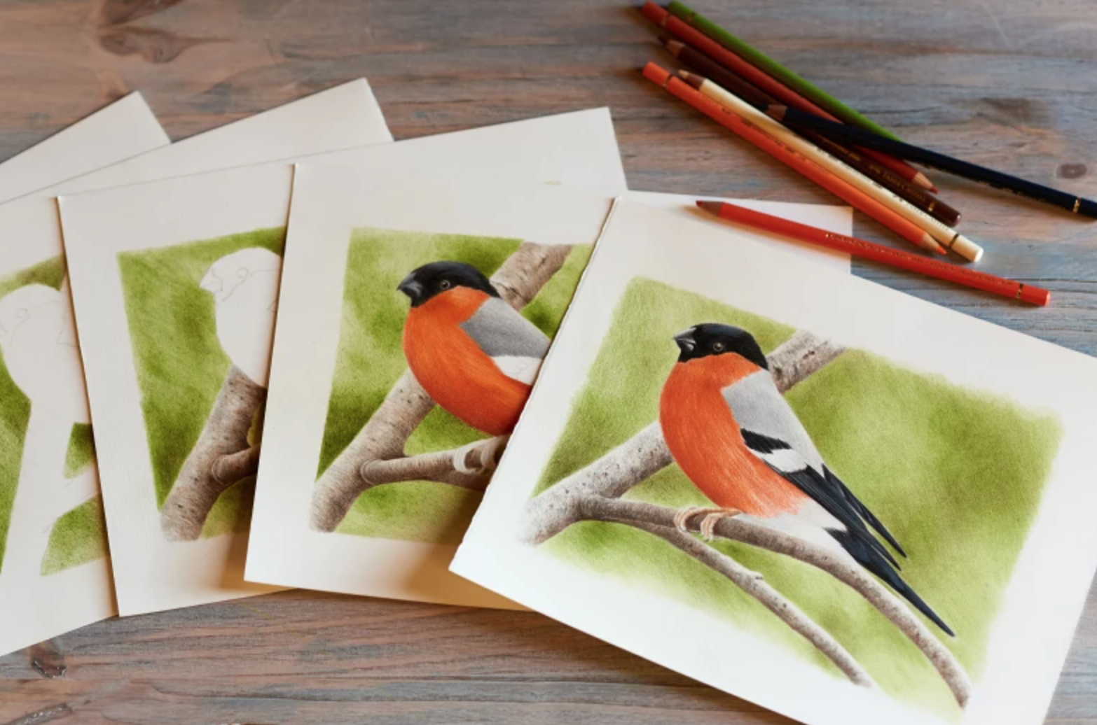 Get Started With Colored Pencils With These 7 BeginnerFriendly
