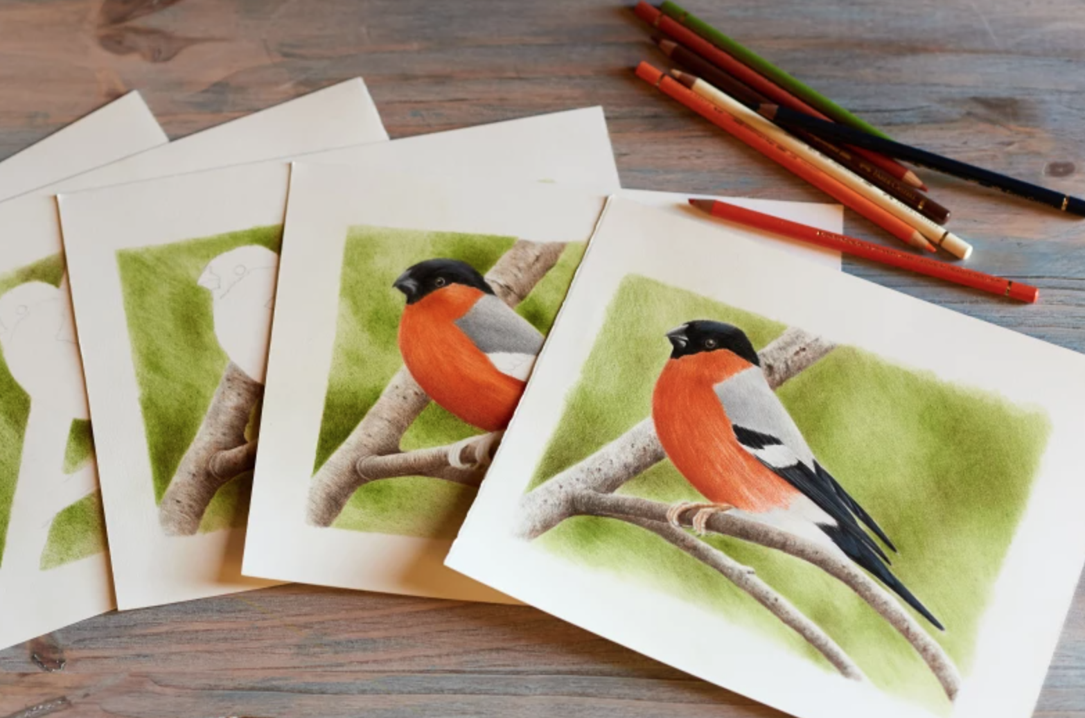 Try Colored Pencils With Beginner Projects