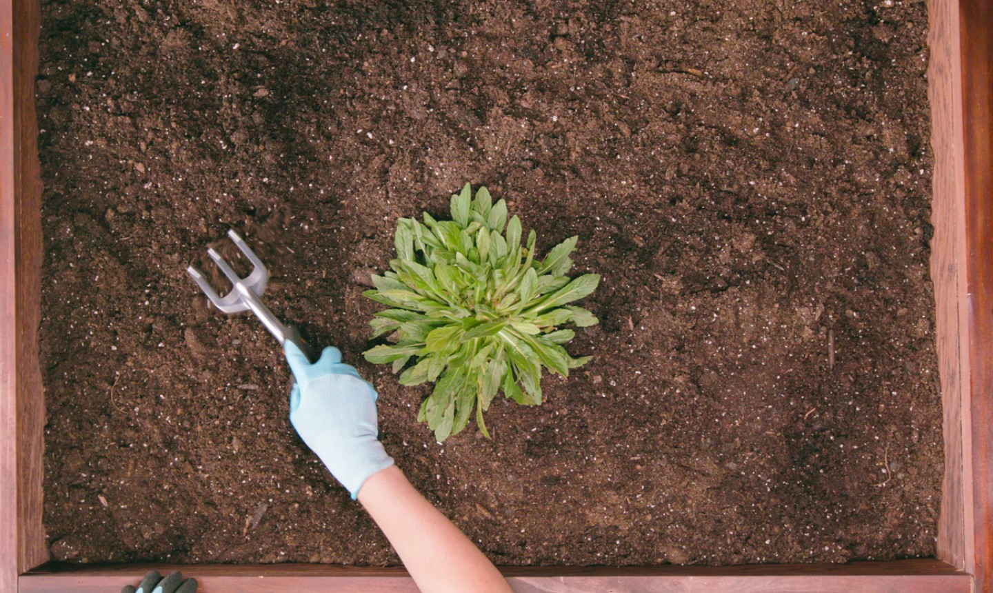 gardening