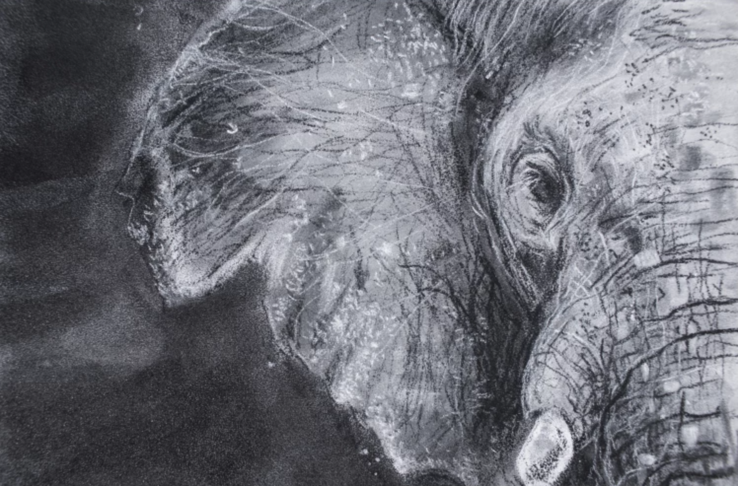 charcoal elephant