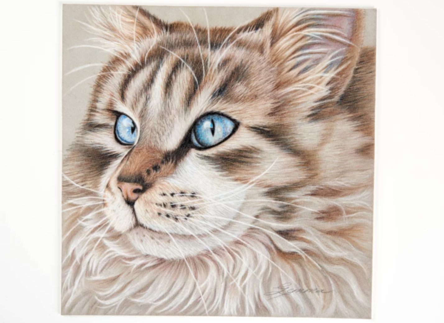 realistic cat drawing color